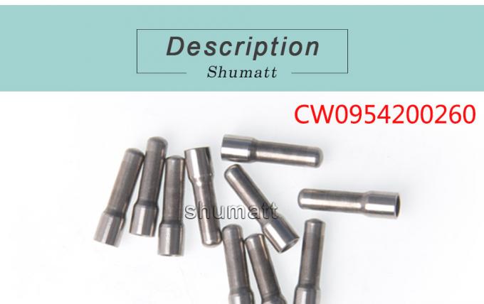 Genuine Common Rail Denso Injector Filter CW 095420-0260 Injection Parts