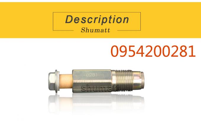 Genuine Injection Parts Pressure Relief Valve 0281 095420-0281 suits to diesel fuel engine