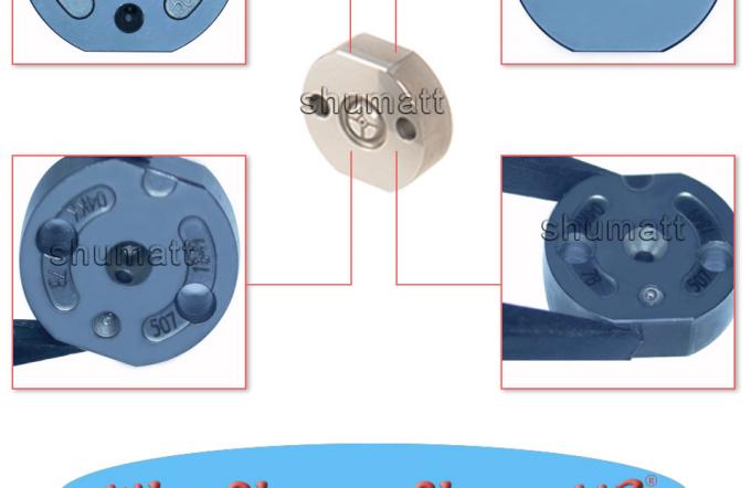 High quality Control Valve Plate  #507 for  23670-30400  G3S6/30190/09500-1440