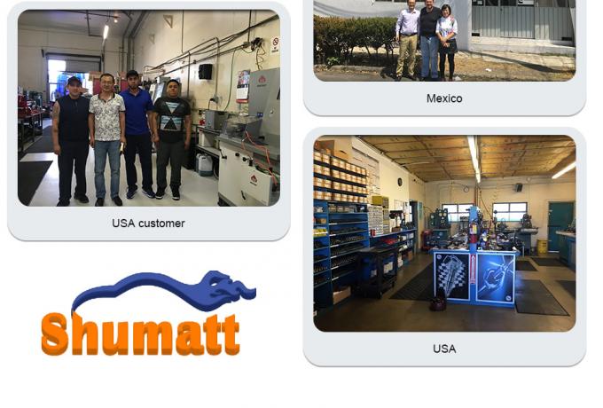 High quality Shumatt Orifice Plate #29 for Common Rail Injector 095000-5459 095000-5511